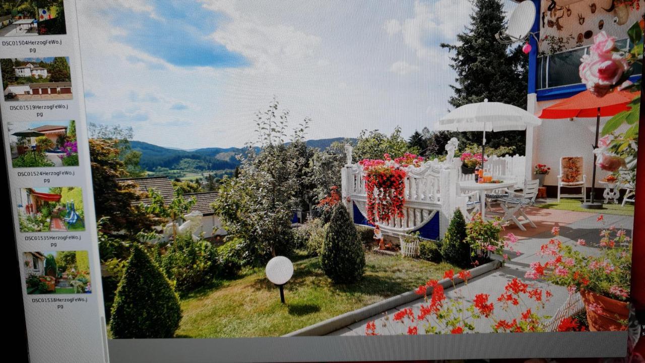 Ferienhaus Haus Herzog Titisee-Neustadt Zewnętrze zdjęcie