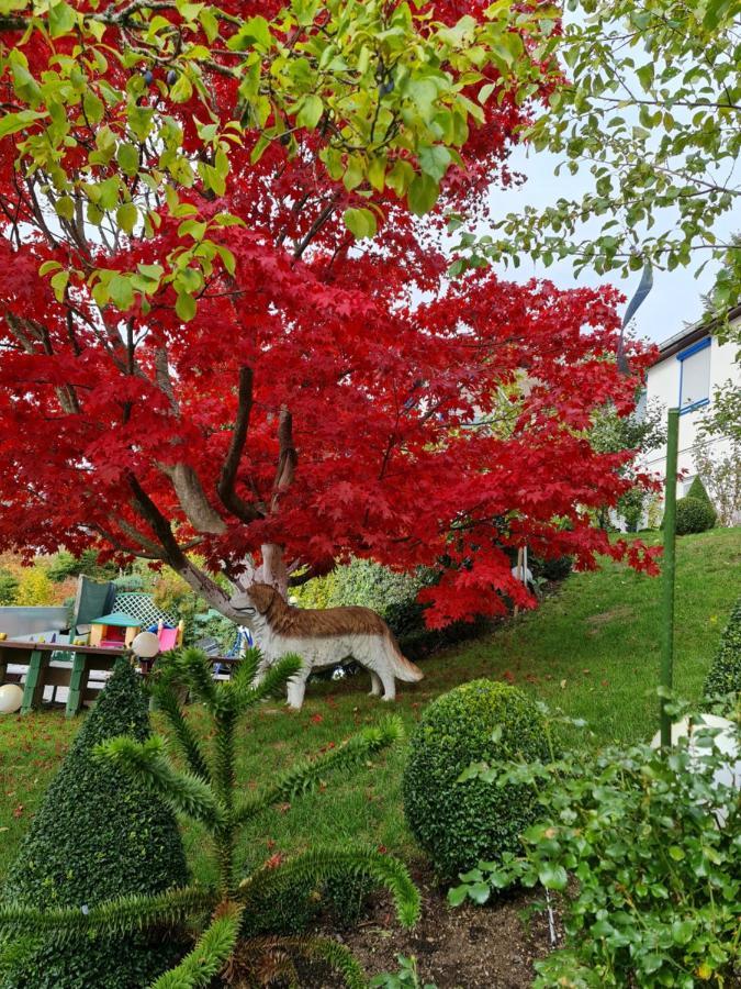 Ferienhaus Haus Herzog Titisee-Neustadt Zewnętrze zdjęcie