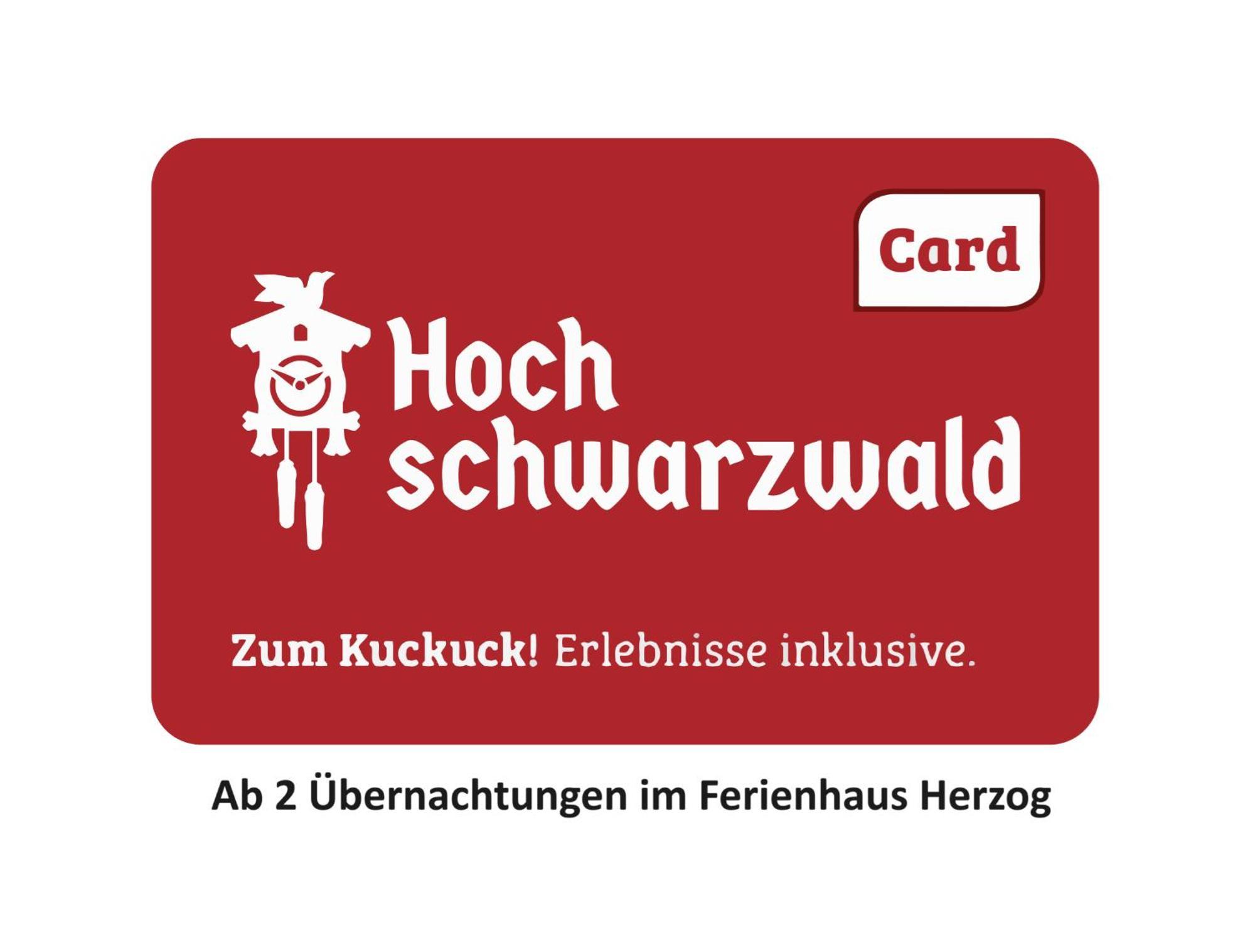 Ferienhaus Haus Herzog Titisee-Neustadt Zewnętrze zdjęcie